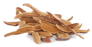 medicinal mushroom supplements